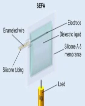柔性電子與人工智能 驅(qū)動智能制造的新興雙引擎